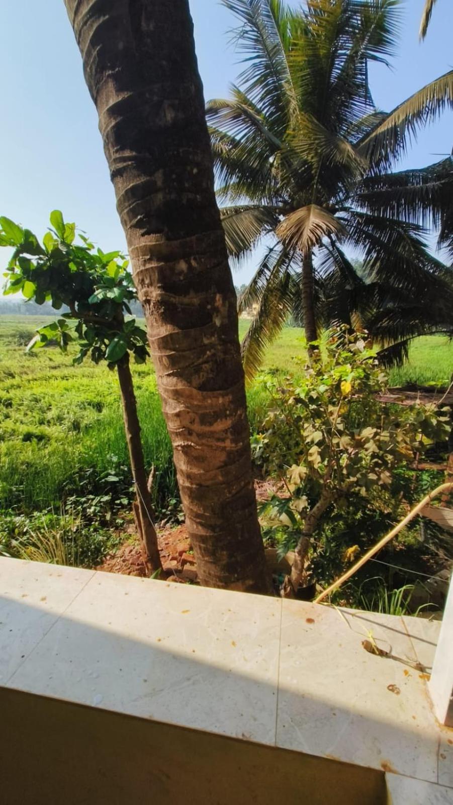 Green Field View Hotel Candolim Exterior foto