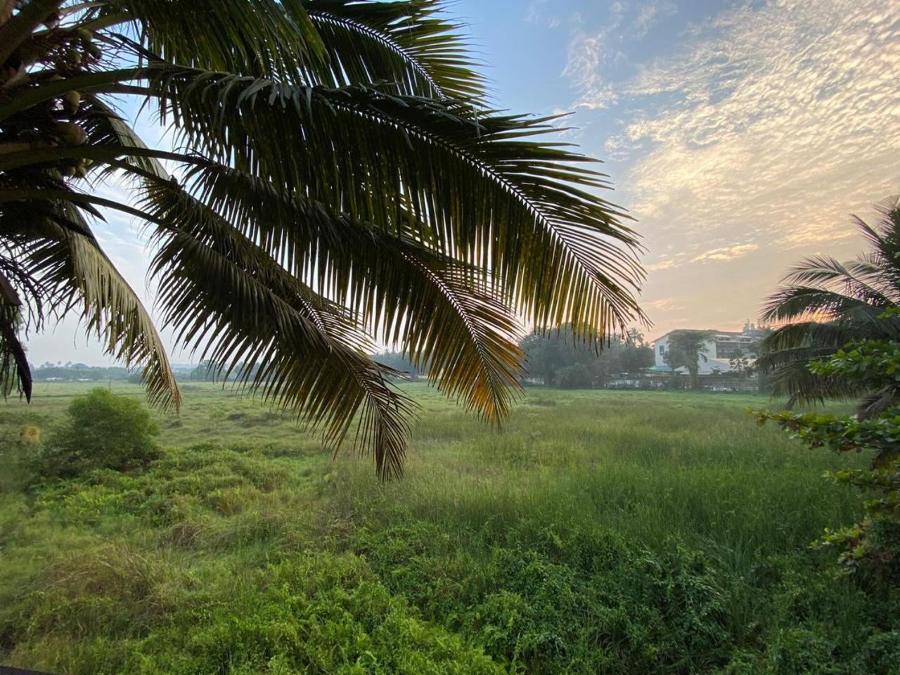 Green Field View Hotel Candolim Exterior foto