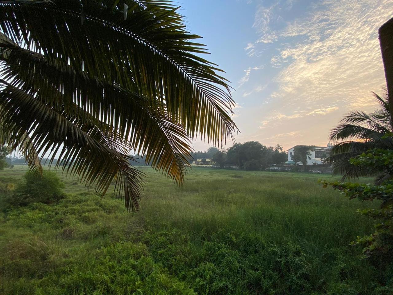 Green Field View Hotel Candolim Exterior foto